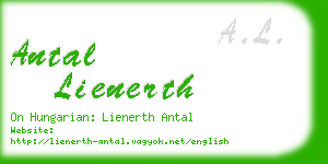 antal lienerth business card